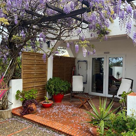 Arriba Stijlvol Appartement Met Zwembad En Tuin Conil De La Frontera Eksteriør billede