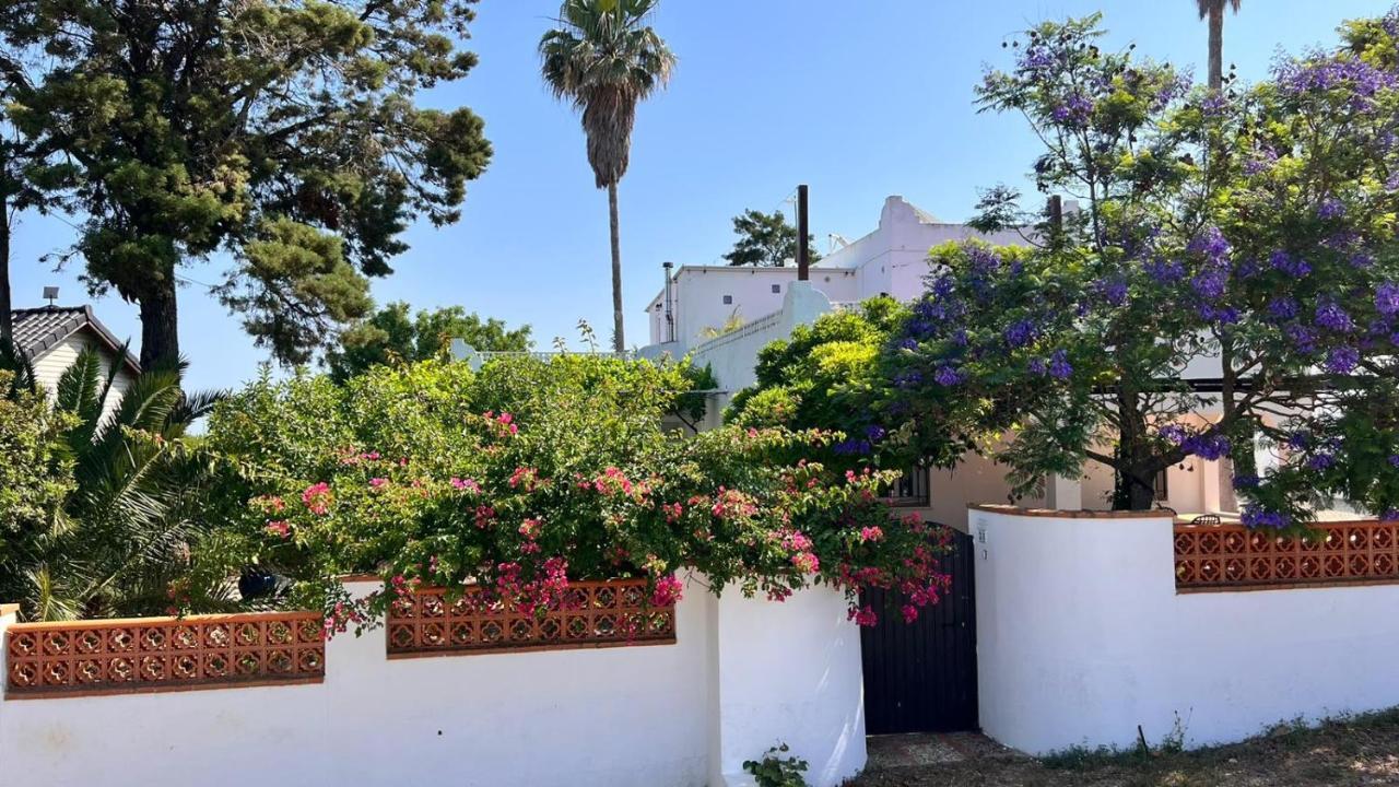 Arriba Stijlvol Appartement Met Zwembad En Tuin Conil De La Frontera Eksteriør billede