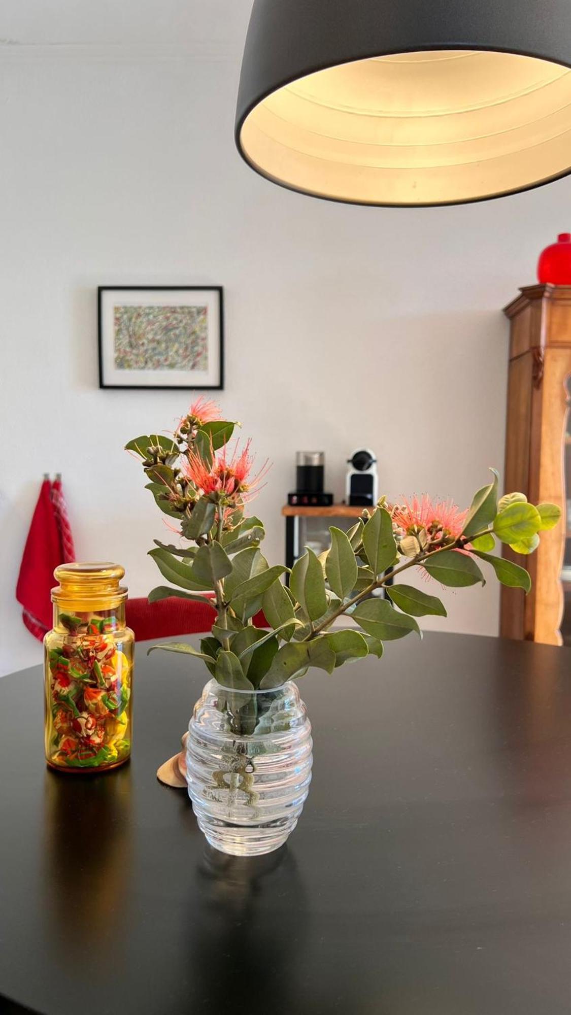 Arriba Stijlvol Appartement Met Zwembad En Tuin Conil De La Frontera Eksteriør billede