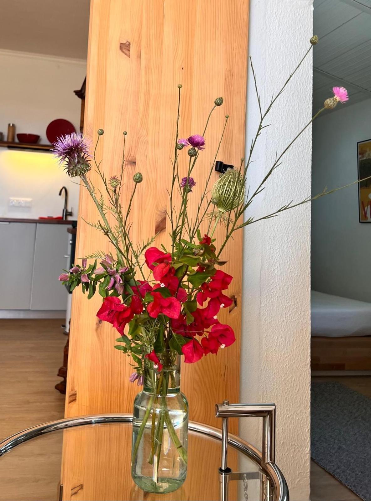Arriba Stijlvol Appartement Met Zwembad En Tuin Conil De La Frontera Eksteriør billede
